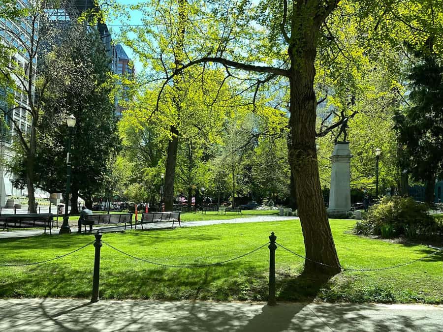 A Guided Walking Tour of Vibrant Downtown Portland - Price and what you actually get for $44