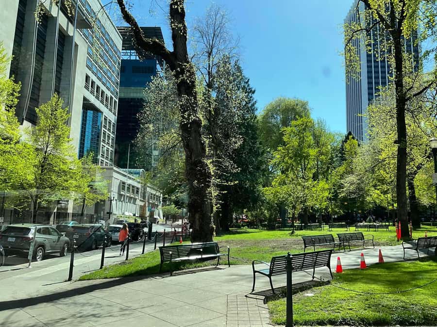 A Guided Walking Tour of Vibrant Downtown Portland - Who should book this downtown Portland walking tour
