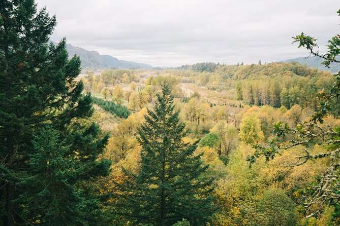 Afternoon Half-Day Multnomah Falls and Columbia River Gorge Waterfalls Tour from Portland - Horsetail Falls: a bonus stop when time allows