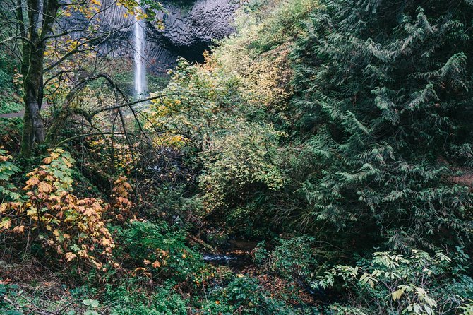 Afternoon Multnomah Falls and Gorge Waterfalls Tour - Gorge history on the road: geology, Lewis and Clark, and pioneer industry