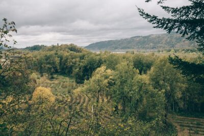 Afternoon Multnomah Falls and Gorge Waterfalls Tour