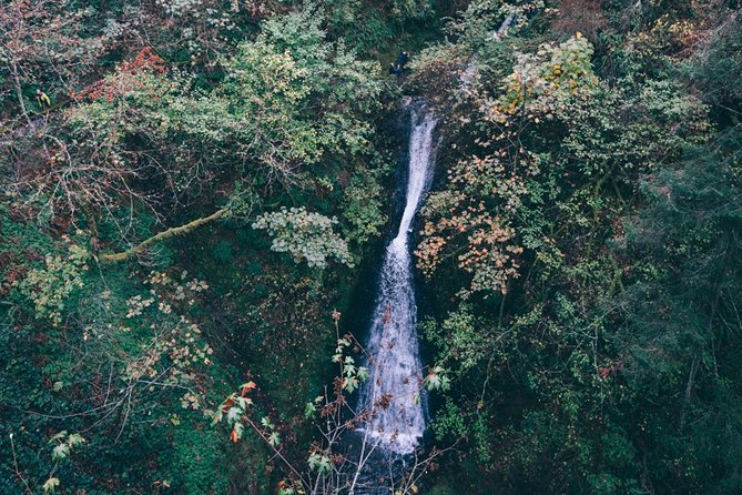 Afternoon Multnomah Falls and Gorge Waterfalls Tour - Getting close without the stress: why parking and permits matter