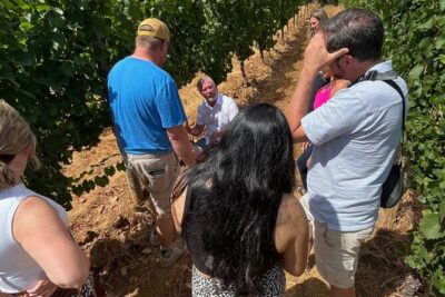 Bed and Breakfast Wine Tour – Small Group, Joinable/Sharable