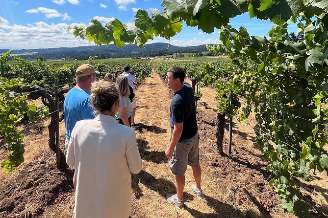 Bed and Breakfast Wine Tour - Small Group, Joinable/Sharable - Price and value: what $230 covers, and how to plan for tastings