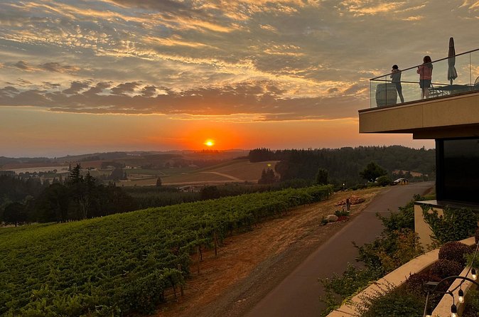 Bed and Breakfast Wine Tour - Small Group, Joinable/Sharable - Lunch that keeps you going: picnic style with dietary options