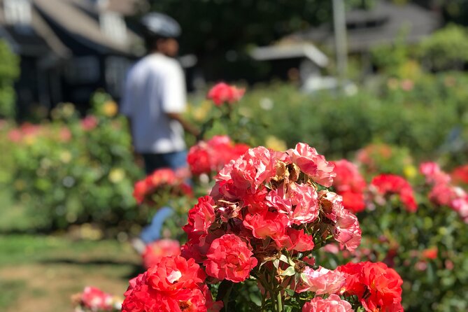 Bike Around Portland Oregon: Art, Culture, Bridges, Poetry - South Waterfront tram talk, the greenway by the river, and a sweet stop you can budget for