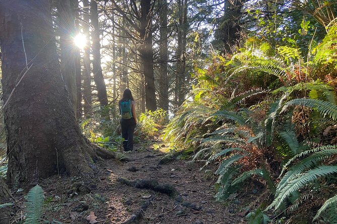 Cannon Beach Hiking Tour on the Oregon Coast - Key highlights you’ll care about