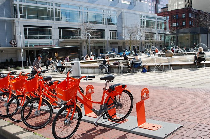 Coffee, Donuts & Chocolate Tour - South Park Blocks: Big Trees, Slower Pace, and Street-Level Calm