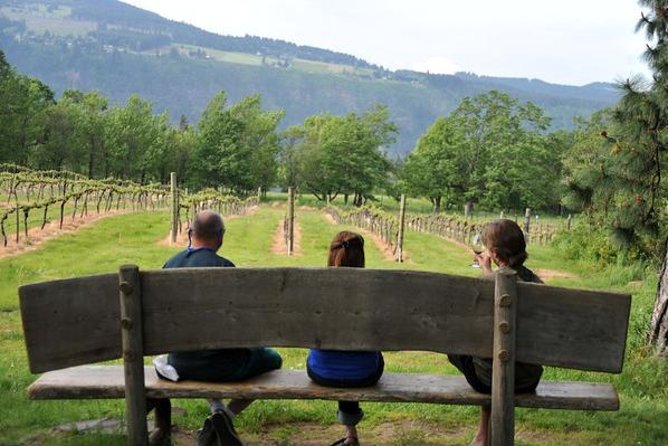 Columbia Gorge Waterfalls & Wineries from Portland: All-Inclusive Afternoon Tour - Who should book this tour (and who might want a different day)