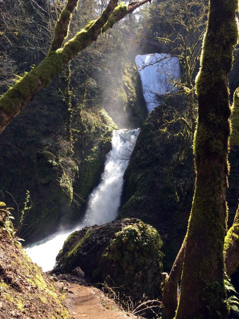 Columbia River Gorge Half-Day Small-Group Hiking Tour - Who This Tour Is For (and Who Should Skip It)