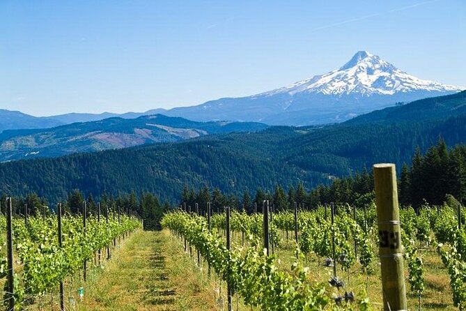 Columbia River Gorge Waterfall Tour from Portland - Afternoon timing: keep your morning, still get the falls