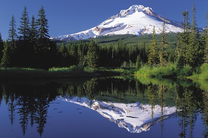 Columbia River Gorge Waterfalls & Mt Hood Tour from Portland, OR - The Small-Group Van That Makes This Route Feel Manageable