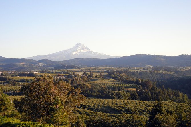 Columbia River Gorge Waterfalls & Mt Hood Tour from Portland, OR - Multnomah Falls Historic Lodge and Benson Bridge Viewpoints