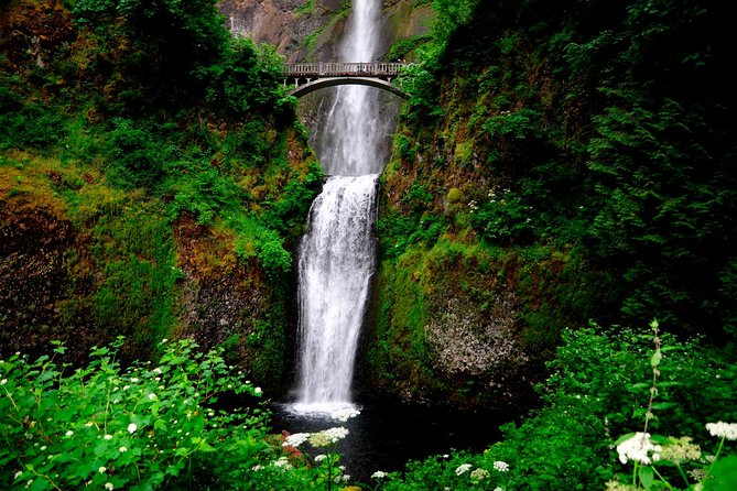 Columbia River Gorge Waterfalls & Mt Hood Tour from Portland, OR - Mount Hood National Forest Drive: Seeing the Peak Before Timberline