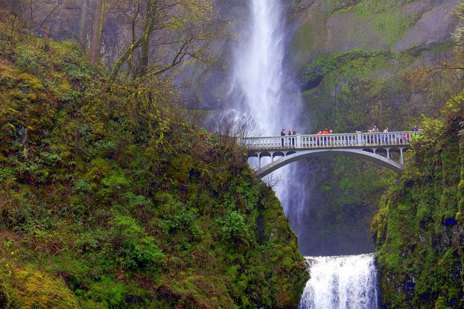 Columbia River Gorge Waterfalls Tour from Portland, OR - Horsetail Falls: A Quick Stop That Often Feels Like a Bonus