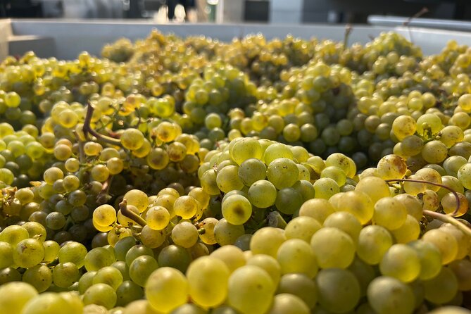 Custom Willamette Valley Wine Tours from The Allison Inn and Spa - Key highlights worth marking on your day