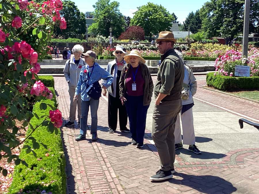 Discover Portland: Guided Sightseeing Tour (Most popular!) - Downtown to the Pearl District: street-level Portland in motion
