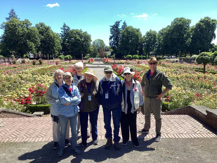Discover Portland: Guided Sightseeing Tour (Most popular!) - International Rose Test Garden: a rose stop that actually feels different
