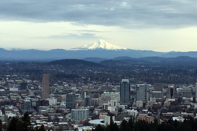 Discover Portland Half-Day Small-Group City Tour - Getting Oriented at Director Park and Riding Smooth Through Portland