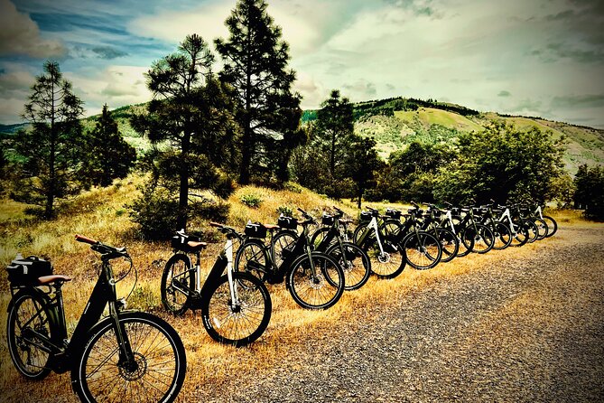 E Bike Rental in Hood River - What Makes the Value Feel Right (Even Without a Full Guided Tour)