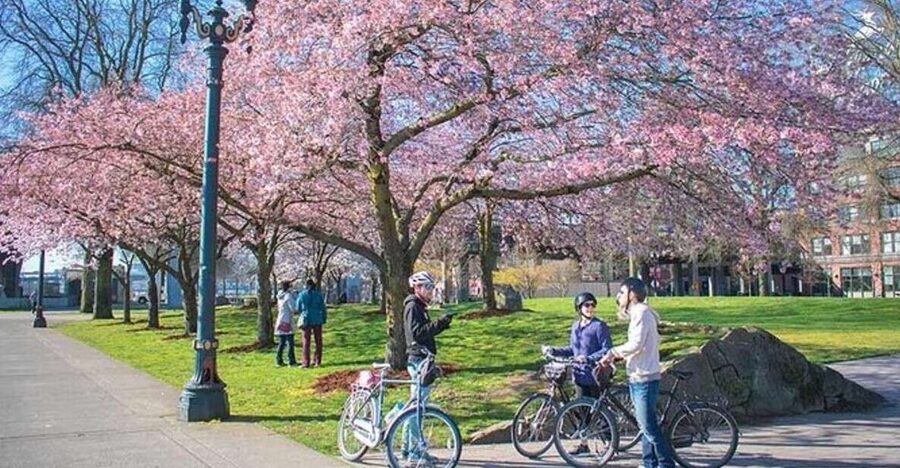 Essential Portland: 2-Hour Guided Bike Tour - Guides make or break it: what shows up with Cycle Portland