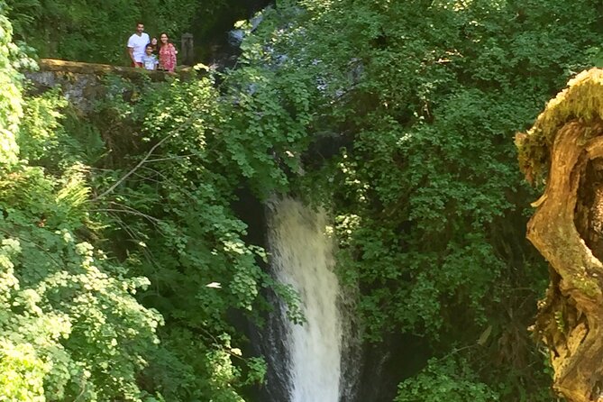Explore Columbia River Gorge Half-Day Small-Group Hiking Tour - Stop 3: Elowah Falls base hike and Beacon Rock views