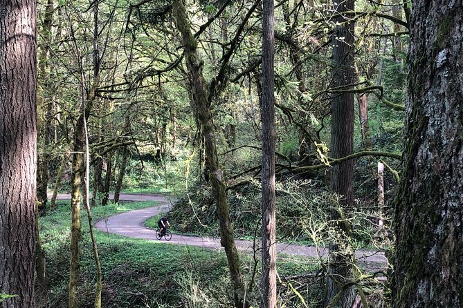 Forest Park Carbon Gravel Bike and E-Bike Tour - Start at Cycle Portland, then roll into Old Town character
