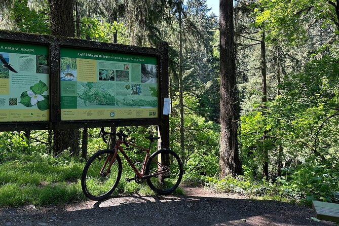 Forest Park Carbon Gravel Bike and E-Bike Tour - Carbon gravel or e-bike: your choice shapes the whole day