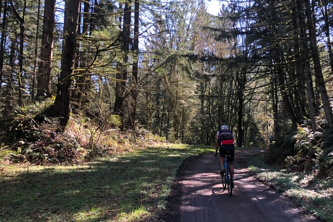 Forest Park Carbon Gravel Bike and E-Bike Tour - Cathedral Park under the bridge, river bluffs, and Mocks Crest views