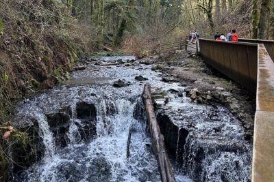 Forest Park Hiking Tour to Pittock Mansion