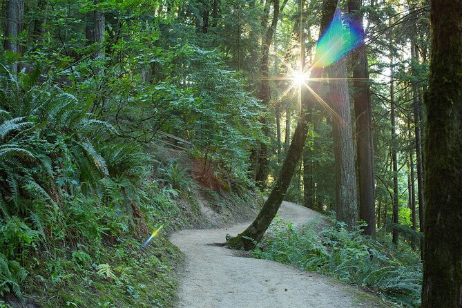 Forest Park Hiking Tour to Pittock Mansion - The Pace, the Fitness Level, and What to Wear