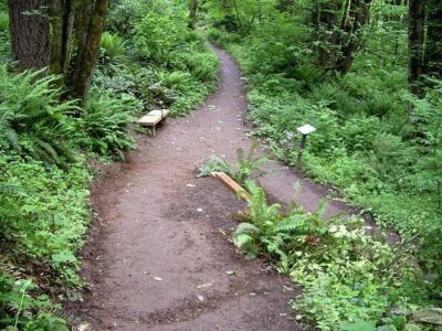 Forest Park Urban Hiking Tour, Portland