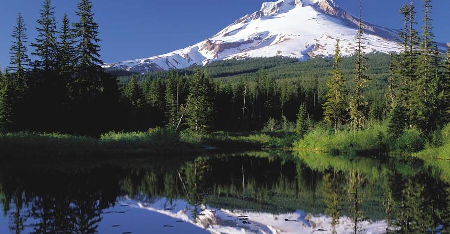 From Portland: Columbia Gorge Waterfalls and Mt. Hood Tour - Key highlights at a glance