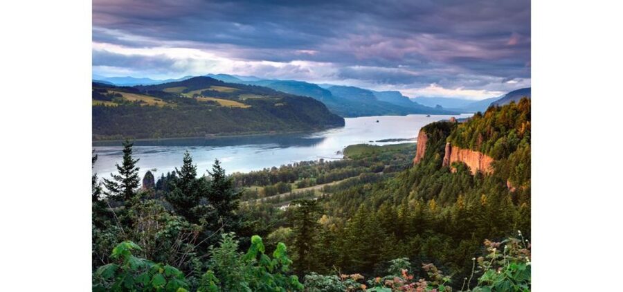 From Portland: Columbia Gorge Waterfalls and Mt. Hood Tour - Latourell Falls: columnar basalt drama with an optional 1/4-mile walk