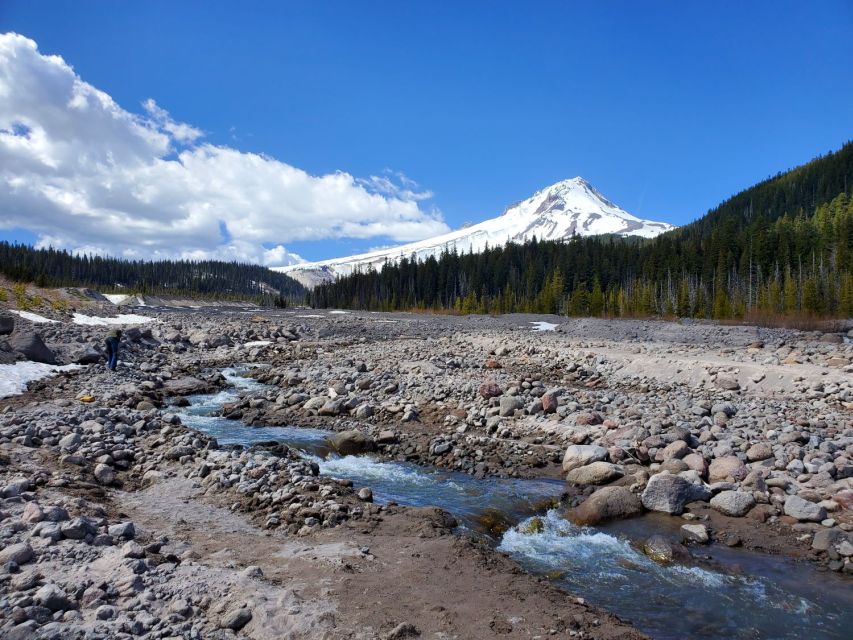 From Portland: Full Day Gorge Waterfalls & Mt. Hood Tour - Fruit loop orchard and vineyards, turning the drive into taste and stories
