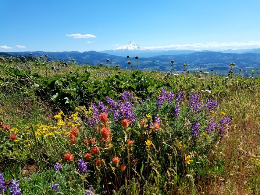 From Portland: Full Day Gorge Waterfalls & Mt. Hood Tour - Mt. Hood, why the tour explains the mountain facts