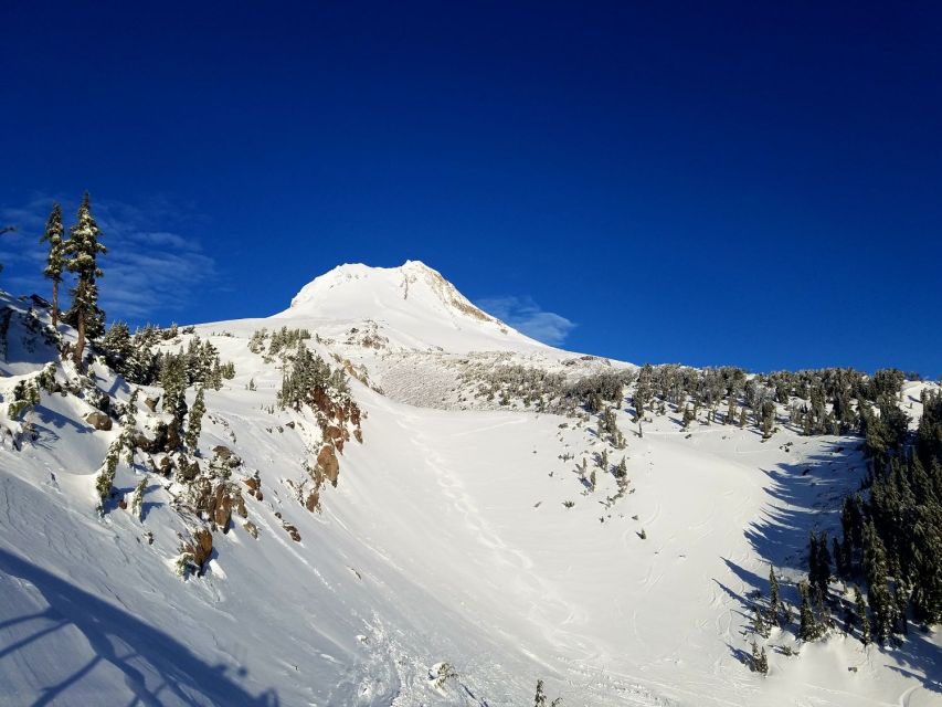 From Portland: Full Day Gorge Waterfalls & Mt. Hood Tour - Timberline Lodge on the hike: a stop for comfort and heritage