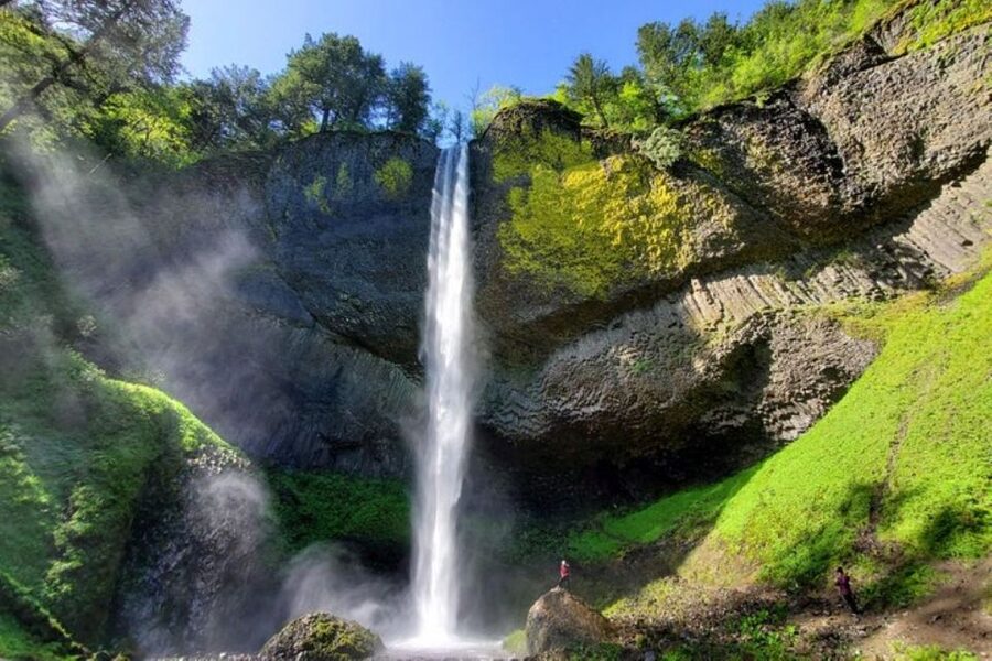 From Portland: Half-Day Columbia River Gorge Waterfalls Tour - Wandering the temperate rainforest, not just standing still
