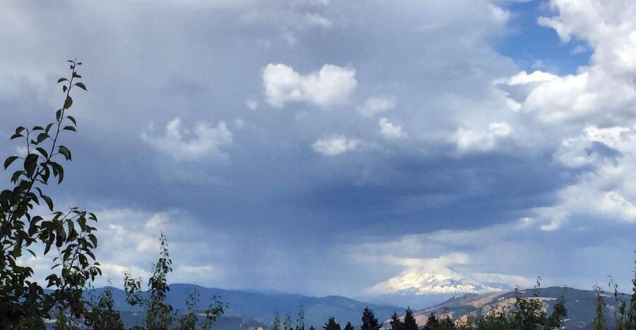 From Portland: Mt Hood, Hood River Valley and Columbia Gorge - Hood River Valley Eats and Animals, From Pygmy Goats to Huckleberry Treats