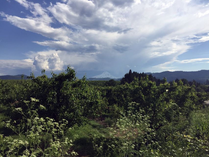 From Portland: Mt Hood, Hood River Valley and Columbia Gorge - Who This Tour Fits Best, and Who Might Prefer Something Slower