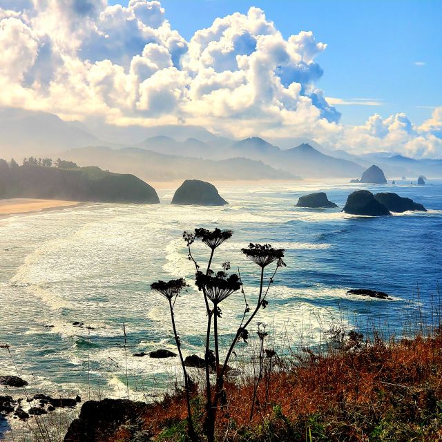 From Portland: Oregon Coast Adventure Day Tour with Pickup - Key points that make this tour worth your time