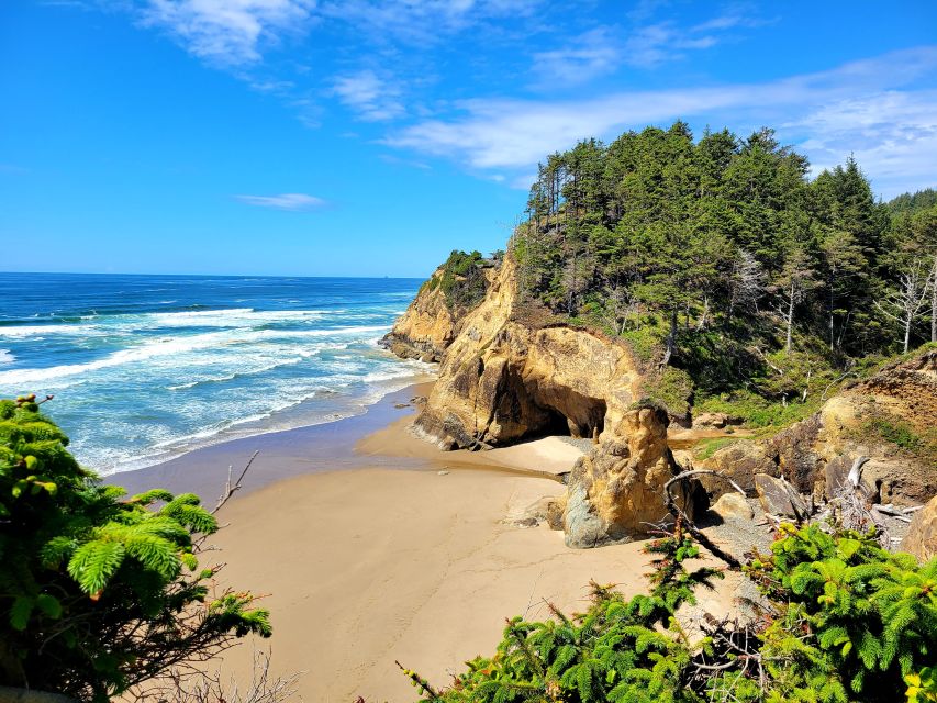 From Portland: Oregon Coast Adventure Day Tour with Pickup - Animal Spotting From the Van, How to Think About Odds