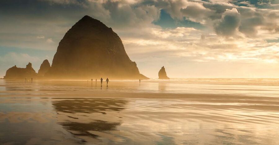 From Portland: Oregon Coast Day Trip Cannon Beach Area - Old growth forest hike: where the coast stops being windy