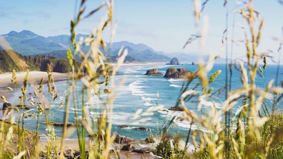 From Portland: Oregon Coast Tour - Sunset Highway to Ecola: The Scenic Drive That Actually Teaches You Something