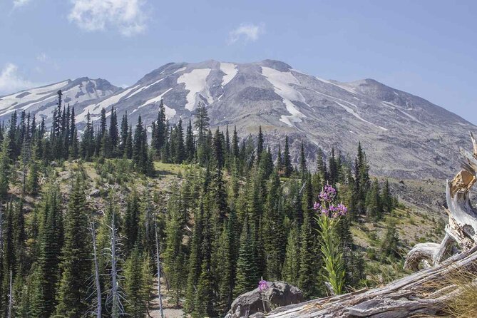 From Portland to Mt. Saint Helen Tour in a small group - Key Highlights Worth Booking For