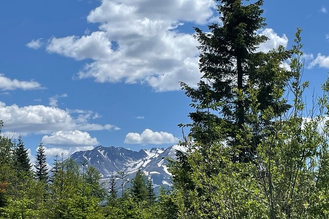 From Portland to Mt. Saint Helen Tour in a small group - Price and Value, Plus the One Thing to Watch