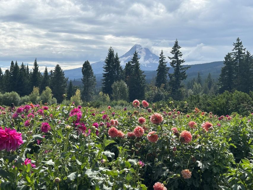 From Portland: Waterfalls, Mt Hood, and Wine Day Tour - Should you book it? My practical take