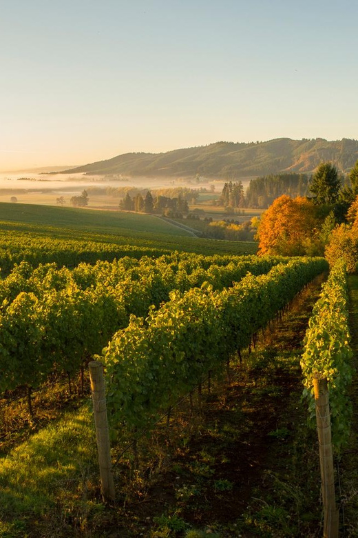 From Portland: Willamette Valley Wine Tasting Tour - Who This Tour Suits Best (and Who Might Prefer Something Else)