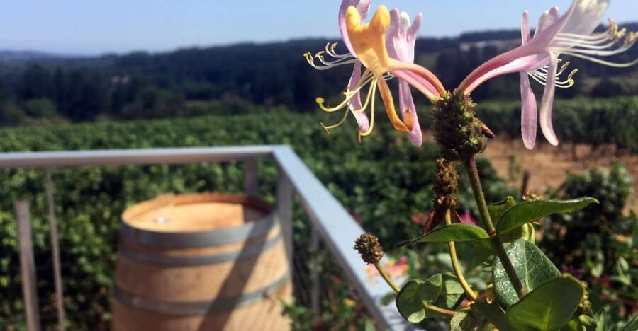 From Portland: Willamette Valley Wine & Whisky - Key Highlights to Know Before You Go