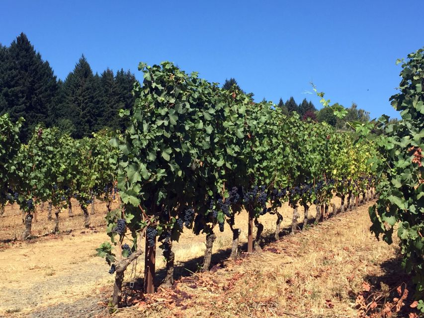 From Portland: Willamette Valley Wine & Whisky - Lunch, Snacks, and a Tasting Strategy That Won’t Wreck Your Day